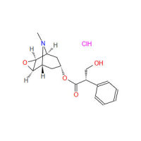 (-)-盐酸东莨菪碱，55-16-3，分析标准品,Moligand™，阿拉丁