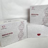 猪（Porcine）补体因子1R(Clr)ELISA检测试剂盒