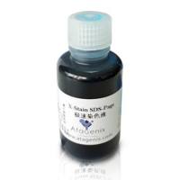 X-Stain SDS-PAGE Rapid Staining Solution, X-Stain SDS-PAGE极速染色液