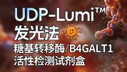 告别“黑箱”！让糖基转移酶活性“看得见”