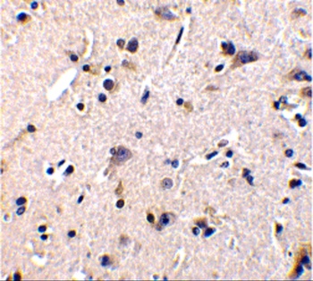 产品细节图片4