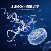 SUMO化修饰组学