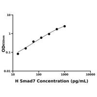人Smad同源物7(Smad7)ELISA试剂盒