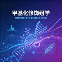 甲基化修饰组学