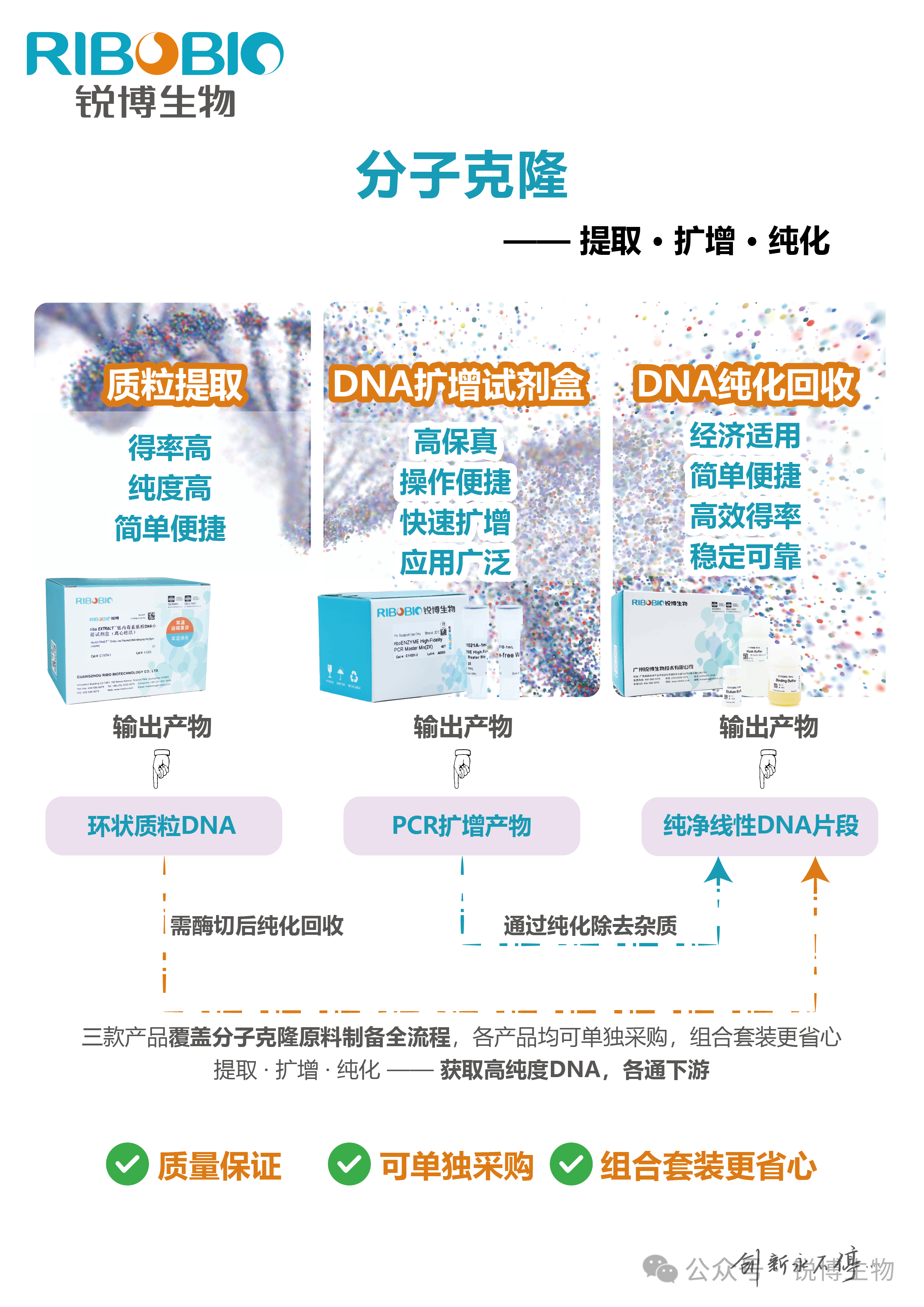 产品推荐 | 分子克隆