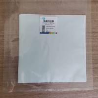 免疫印迹膜(PVDF 膜)