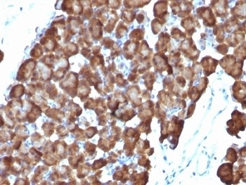 产品细节图片1