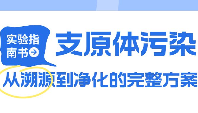 支原体污染：检测方法、污染来源与净化方案完整指南