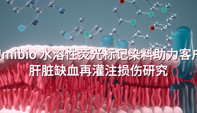 IF=6.0 | Umibio 水溶性荧光标记染料助力客户肝脏缺血再灌注损伤研究！