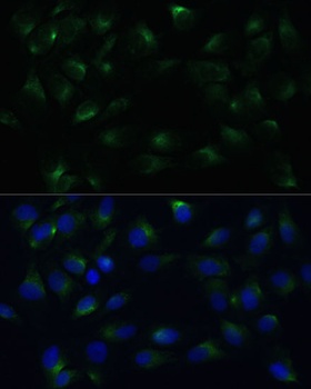 产品细节图片6