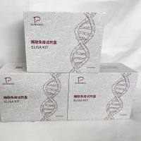 猪(Porcine)肌钙蛋白I(Tn-I)ELISA检测试剂盒