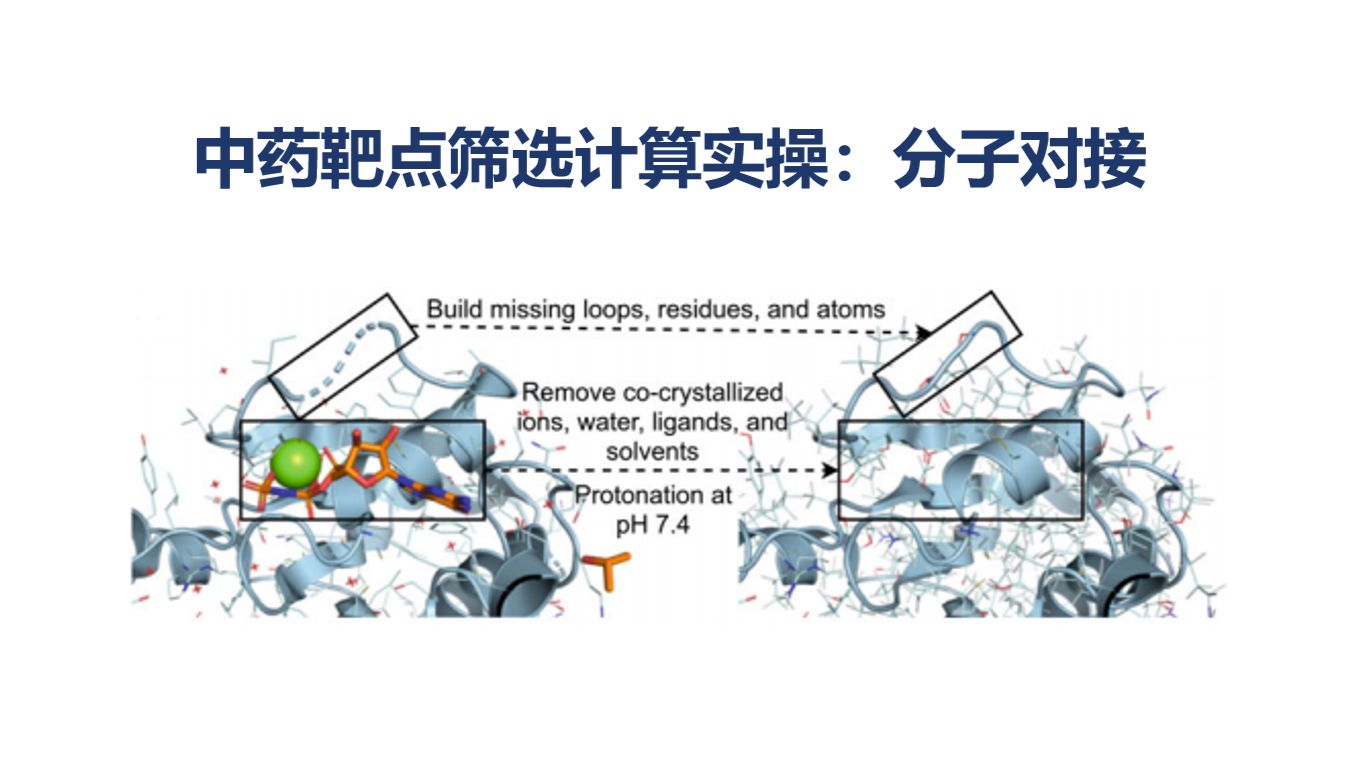 中药靶点筛选计算实操（二） | 分子对接：针对明确靶点，从中药库中筛选高置信先导并预测结合模式