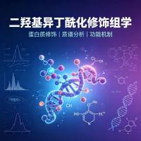 二羟基异丁酰化修饰组学 蛋白质组学