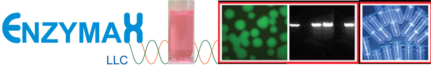 mRNA去帽新选择：Tobacco Decapping Plus 2，助力 5'RACE 稳定实验
