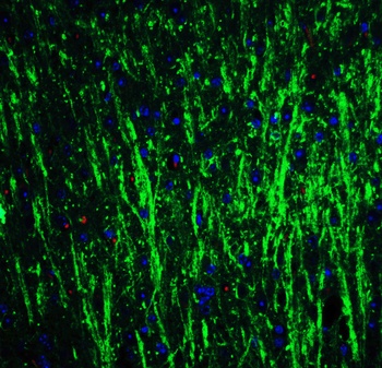 产品细节图片4