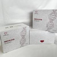 猪（Porcine）接触蛋白相关蛋白样蛋白2(CNTNAP2)ELISA检测试剂盒