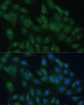 产品细节图片2