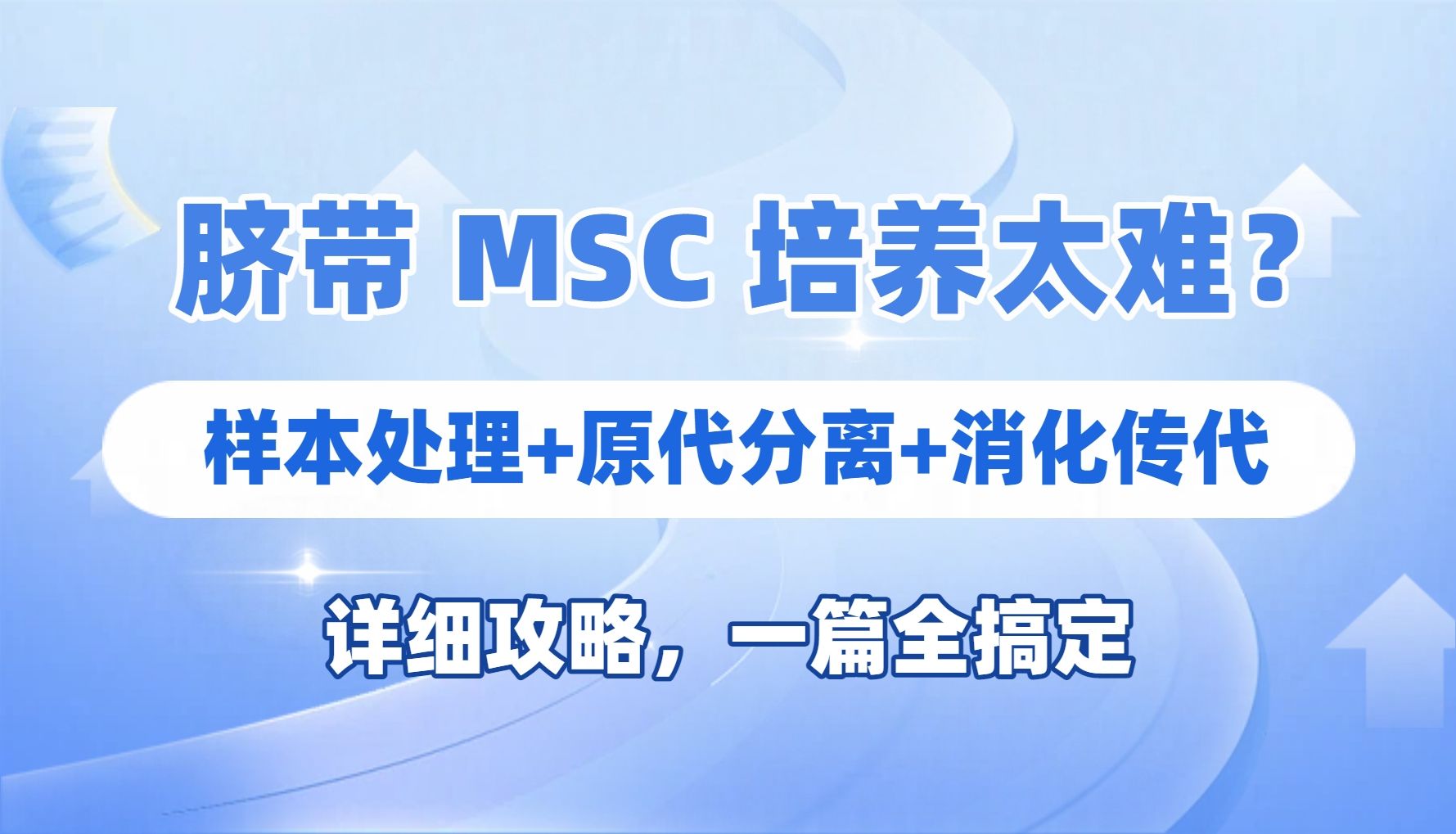 干货分享|脐带MSC培养太难？样本处理、原代分离到传代，一篇全搞定