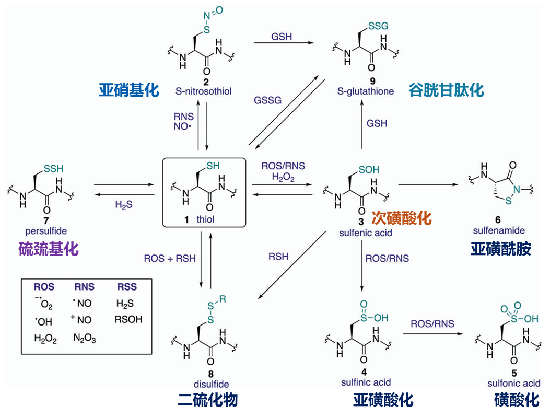 产品细节图片1