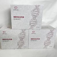 猪(Porcine)阿黑皮素原(POMC)ELISA检测试剂盒