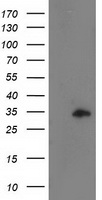 产品细节图片1