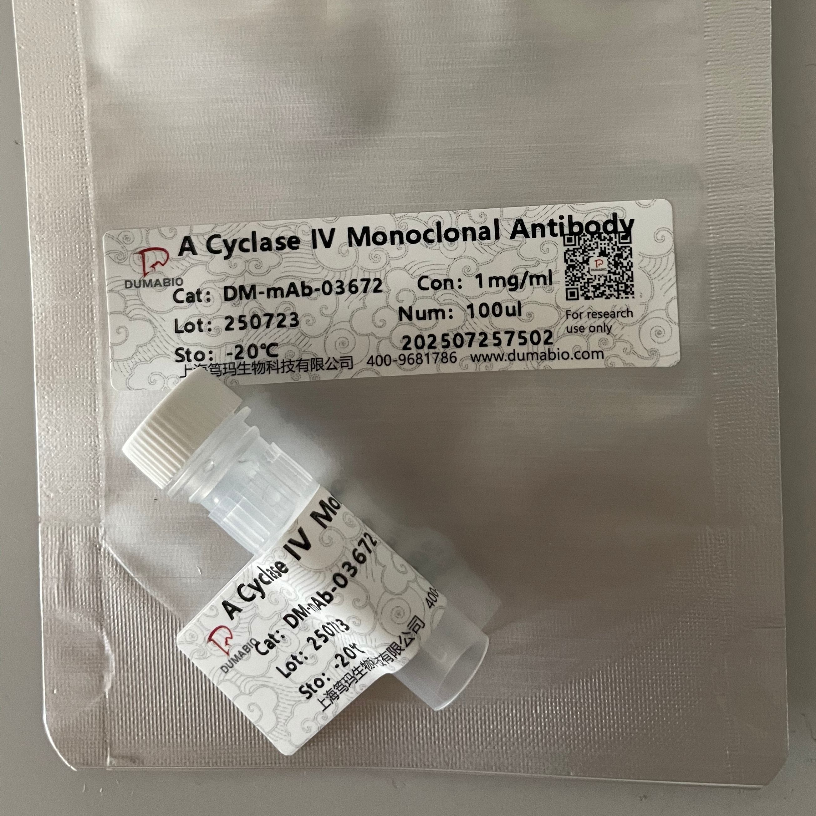 Sox-9 Polyclonal Antibody