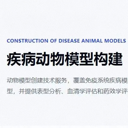 疾病动物模型构建