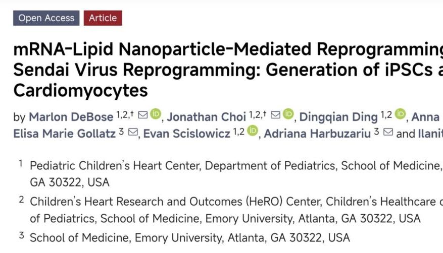 文献解读｜《IJMS》实证：摆脱病毒依赖，RNA-LNP开启低成本、高保真iPSC重编程新范式