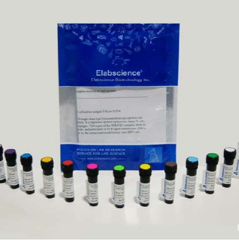 Elab Fluor®647 Anti-Human IgG Fc Antibody[M1310G05]