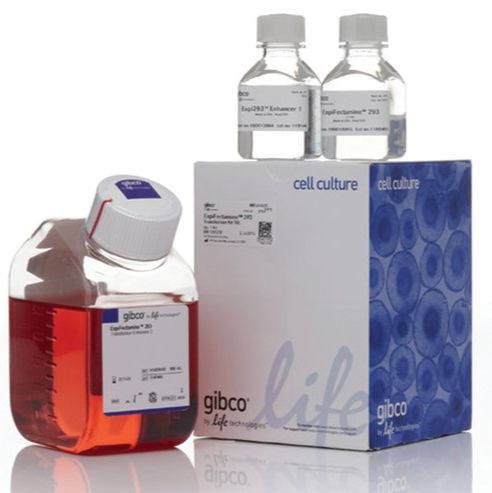 Gibco™（A14524）ExpiFectamine™ 293 转染试剂盒
