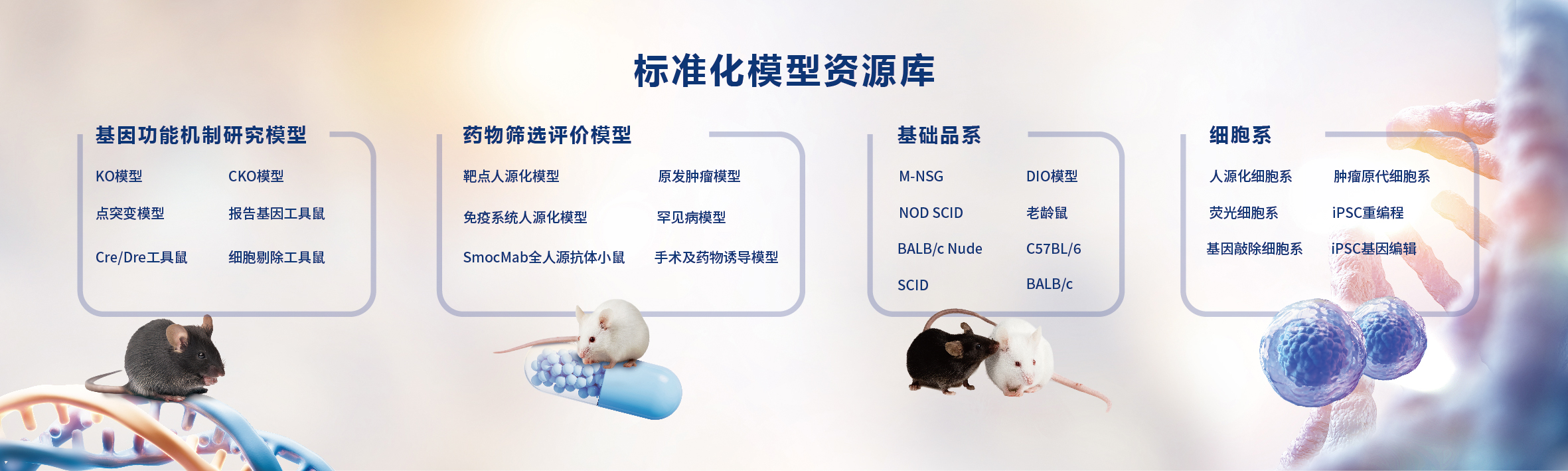 新闻图片1