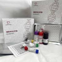 猪(Porcine)硫氧化还原蛋白(Trx)ELISA检测试剂盒