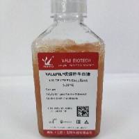 优级胎牛血清
