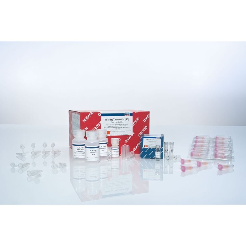 74004凯杰痕量样品总RNA提取试剂盒Qiagen