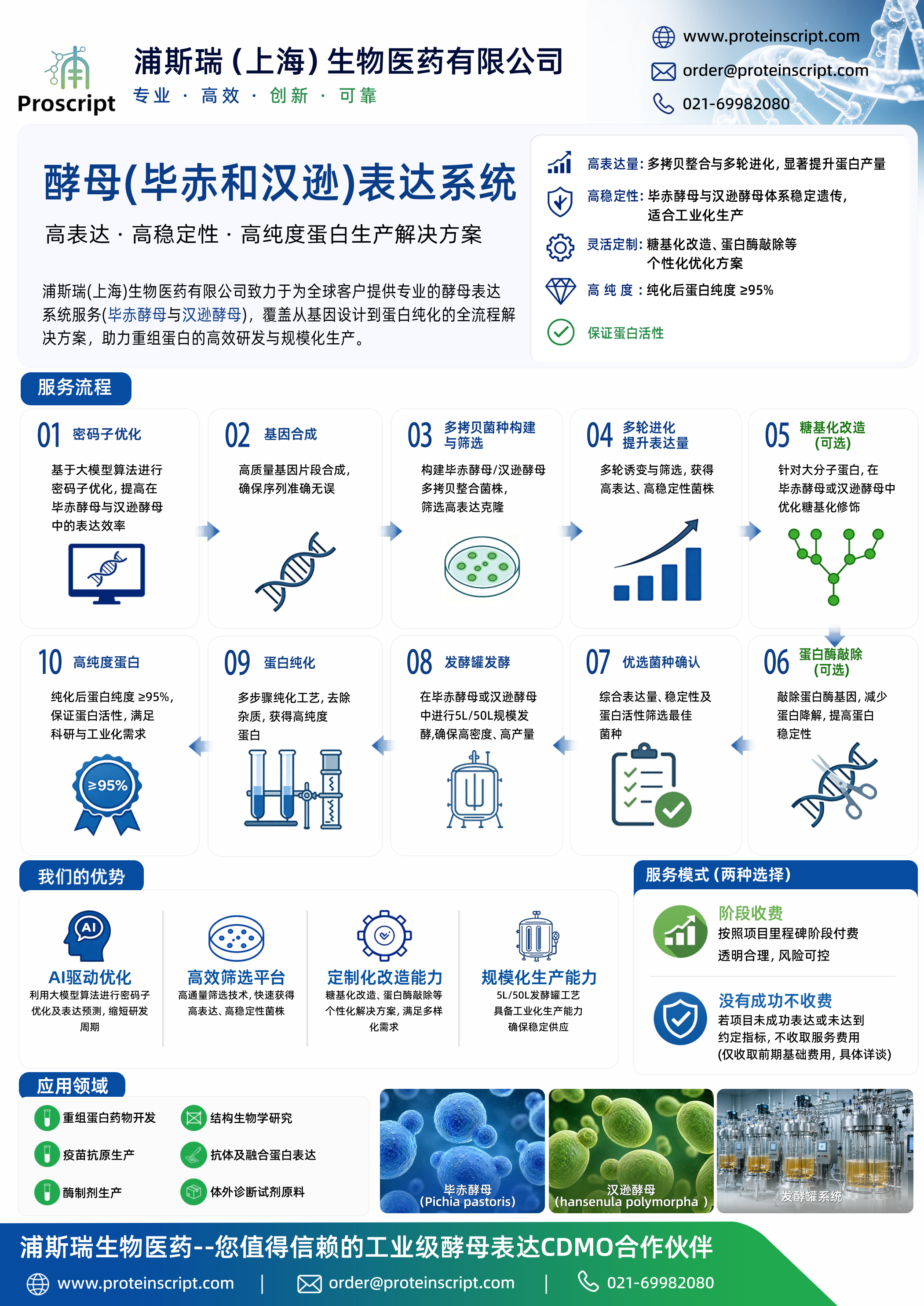 酵母表达系统中文重置版4K(1).png