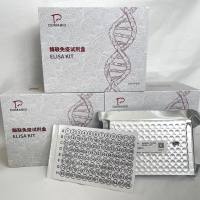 猪（Porcine）丝氨酸蛋白酶23(PRSS23)ELISA检测试剂盒