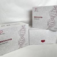 猪(Porcine)二磷酸尿核苷葡糖醛酸基转移酶2家族肽B4(UGT2B4)ELISA检测试剂盒