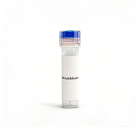 Human PVRIG/CD112R蛋白; Recombinant Human PVRIG/CD112R Protein