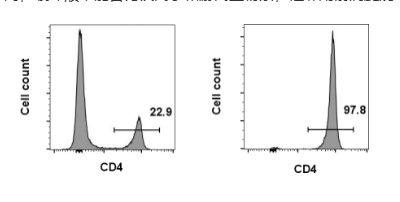 小鼠CD4 T细胞分离用什么试剂盒？FiniGet分必得®130-6002实测纯度95%以上附操作SOP