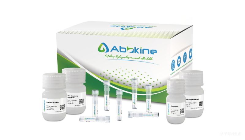 CheKine™ 羧酸酯酶（CarE）活性检测试剂盒，科研专享优惠！