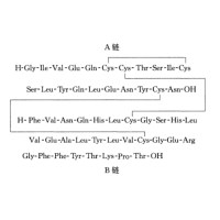 Insulin lispro (Standard)，133107-64-9，Moligand™，阿拉丁