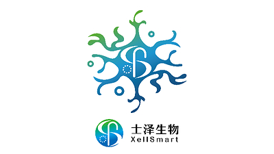 新闻图片2