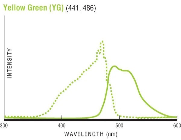 黃綠色(YG)熒光微球的熒光激發(fā)峰值