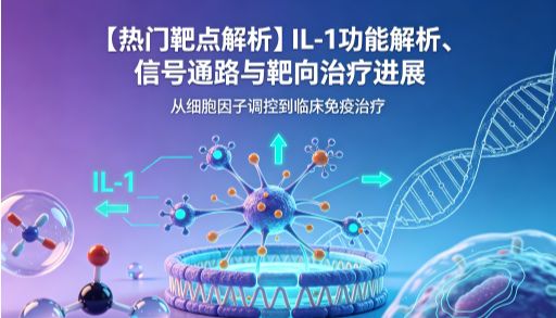 【热门靶点解析】IL-1功能解析、信号通路与靶向治疗进展