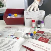 猪(Porcine)胸腺非依赖性抗原(TI-Ag)ELISA检测试剂盒