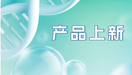 抗小鼠CCR8抗体 | 体内级肿瘤浸润Treg清除研究工具