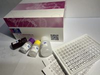 牛轮状病毒组RT-LAMP试剂盒