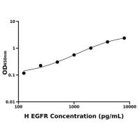 人表皮生长因子受体(EGFR)ELISA试剂盒