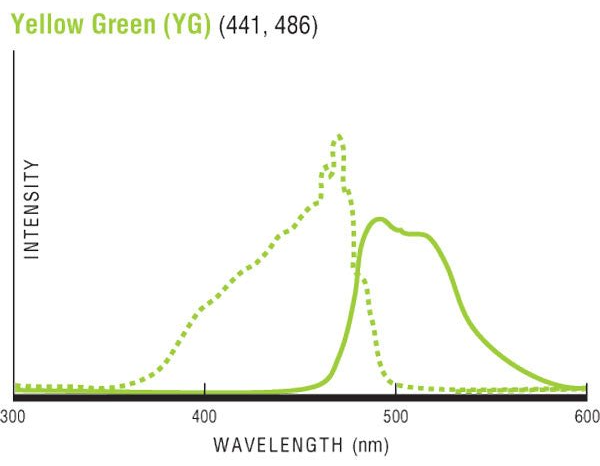 黃綠色（YG）熒光羧基化微球激發(fā)光峰值