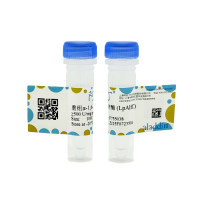 重组α-1,6-岩藻糖苷酶 (LpAlfC),9037-65-4,生物活性, ActiBioPure™, 高性能, EnzymoPure™, His标签, ≥90%(SDS-PAGE), ≥500 U/mg protein; 蛋白浓度: 见COA,阿拉丁